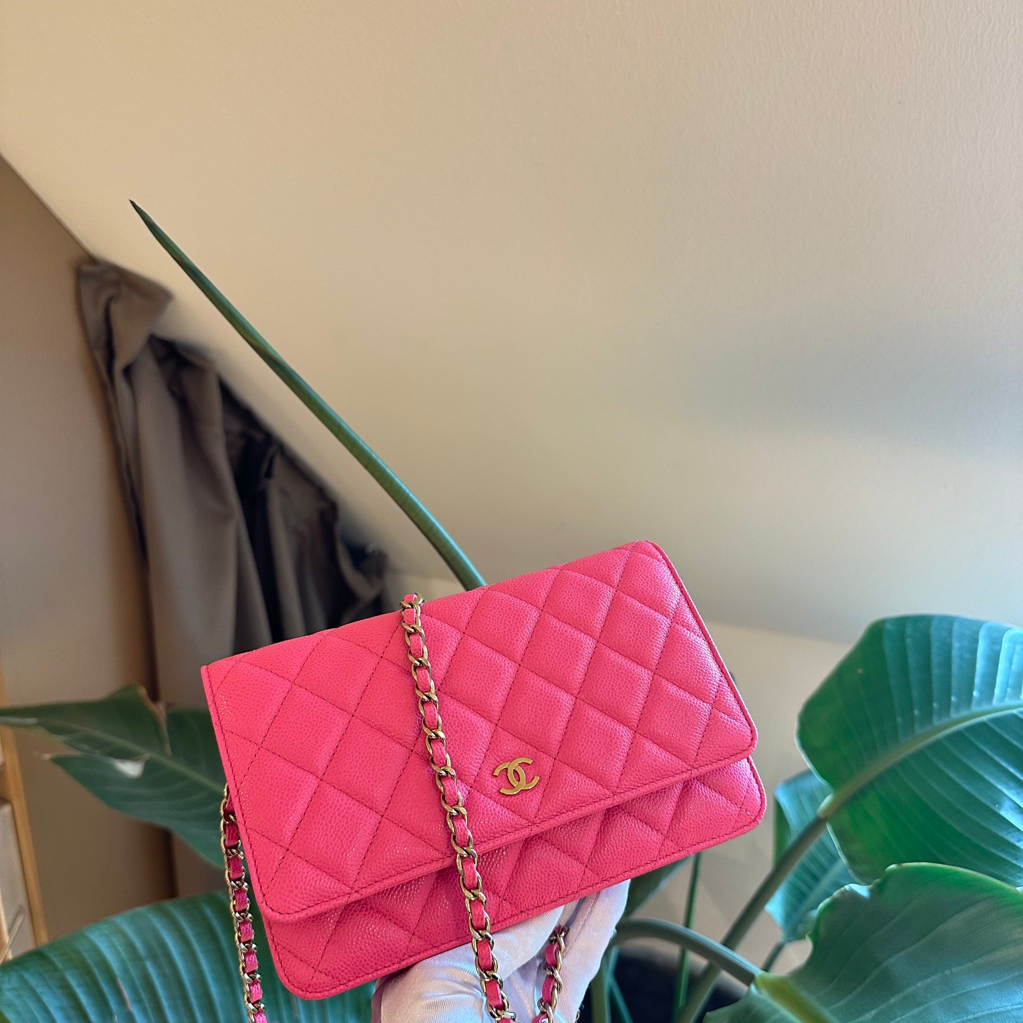 Chanel Wallet On Chain Pink Caviar GHW