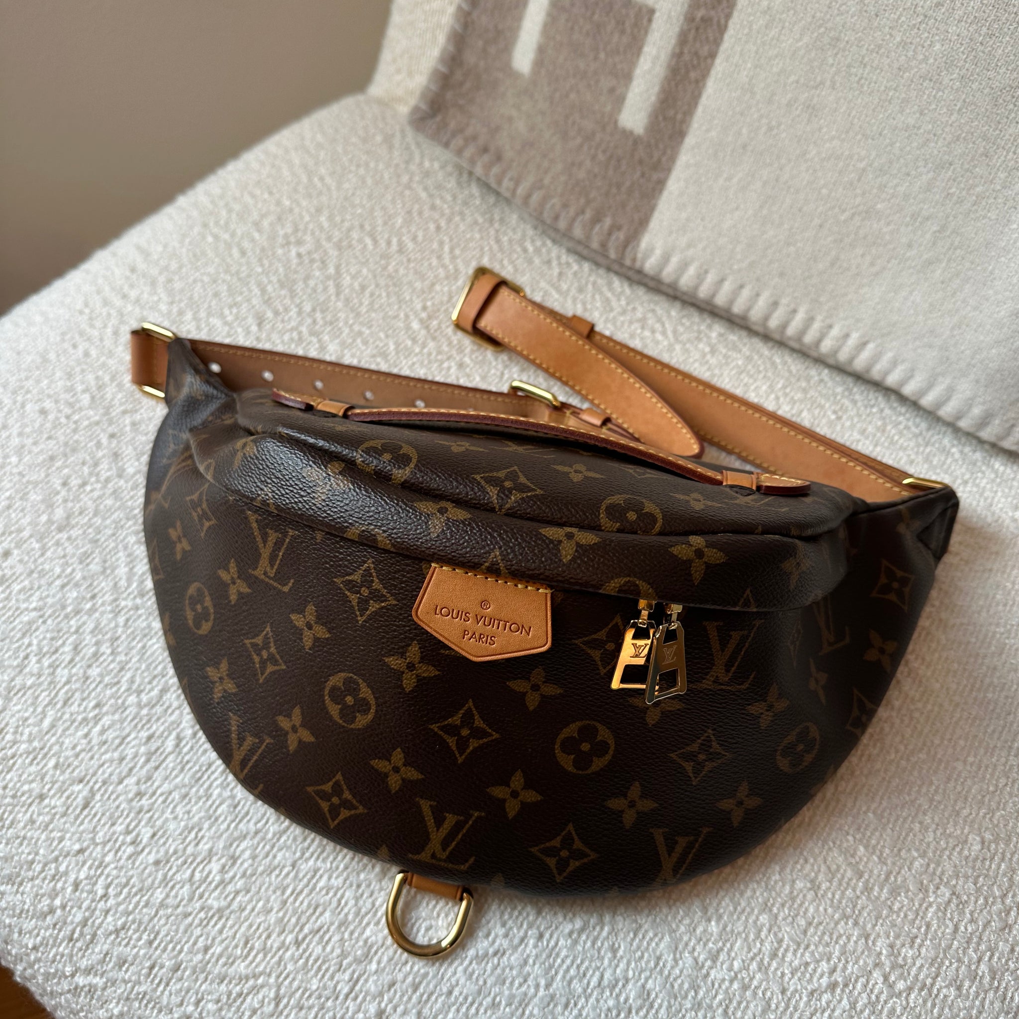 Louis Vuitton Bumbag Monogram Canvas