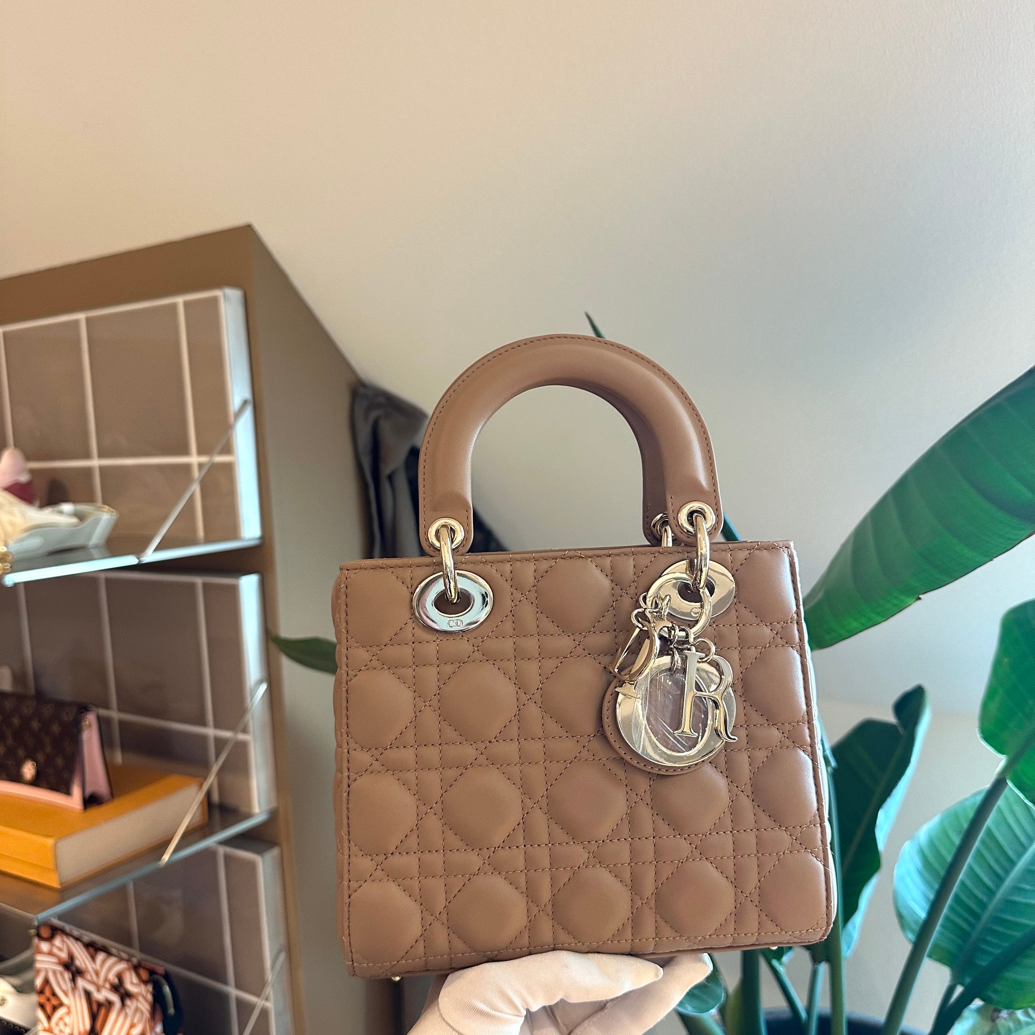 Lady Dior Small Bag Beige Carnage Lambskin GHW
