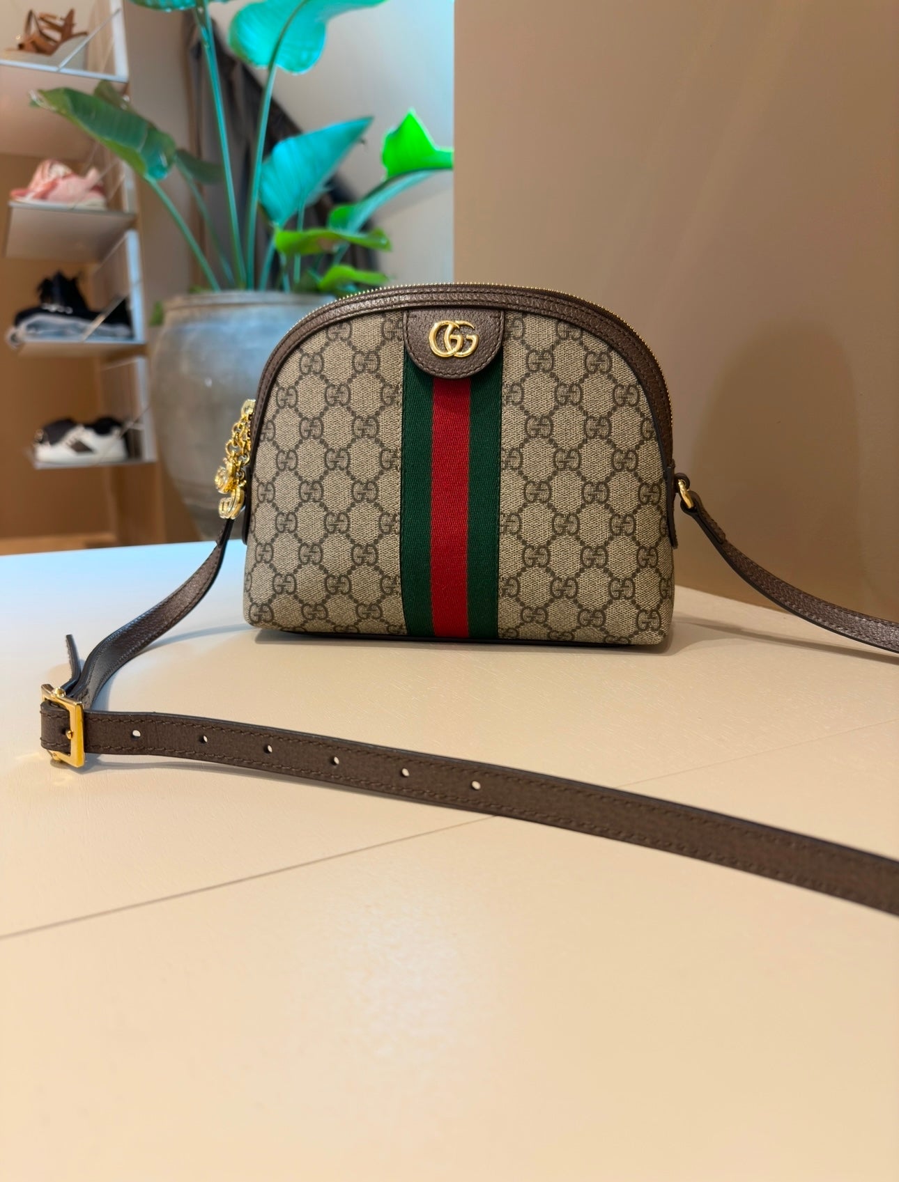 Gucci Ophidia GG Small Shoulder Bag